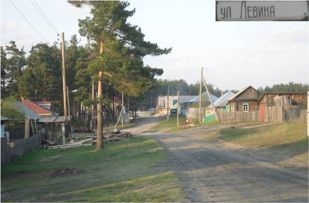 Левина, улица